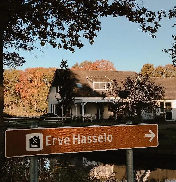 Boutique B&B Erve Hasselo-1